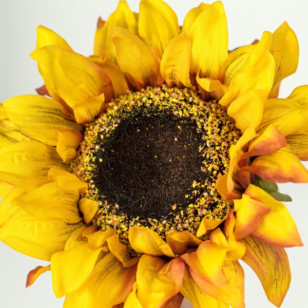 8  Helianthus Sunflower Pick Fashion