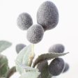 10  Olive Stem Bundle For Sale