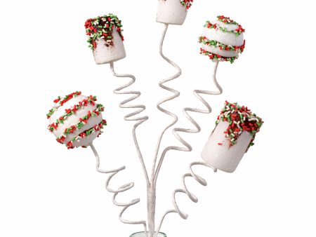 16  Chocolate Dipped Marshmallow Pick: Christmas Discount