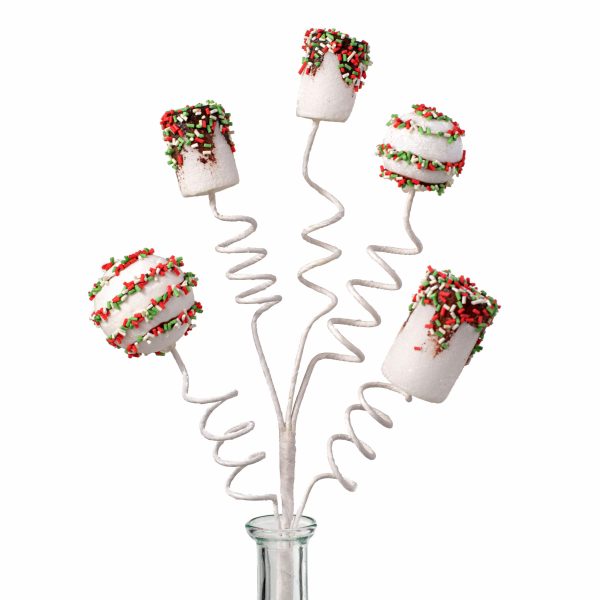 16  Chocolate Dipped Marshmallow Pick: Christmas Discount