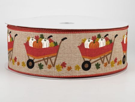 2.5 Pumpkin Wheelbarrow Ribbon: Rust (50 Yards) Cheap