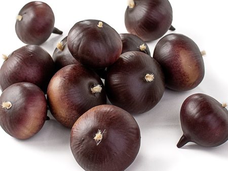 2.75 -3.75  Onions: Purple (12) on Sale