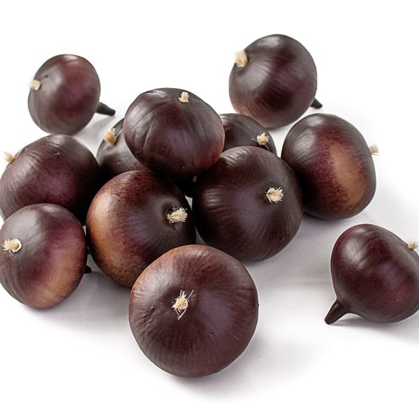 2.75 -3.75  Onions: Purple (12) on Sale