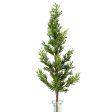 23  Cedar Pine Spray For Cheap