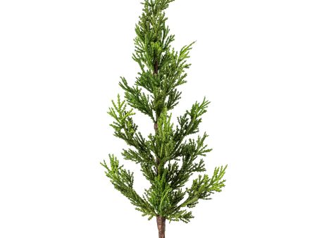 23  Cedar Pine Spray For Cheap