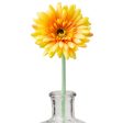 22  Gerbera Daisy Stem: Yellow For Cheap