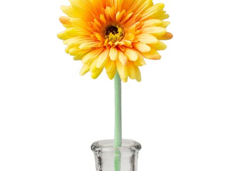 22  Gerbera Daisy Stem: Yellow For Cheap