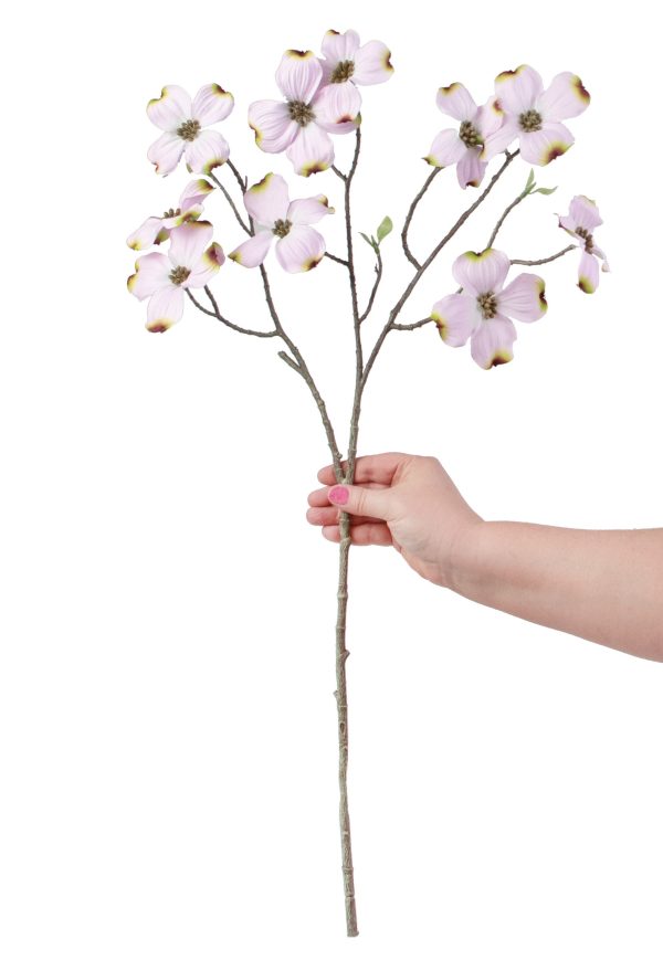 27  Dogwood Stem: Pink For Sale