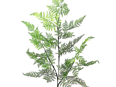 41  Ruffle Fern Spray Sale