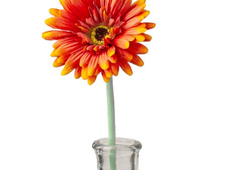 22  Gerbera Daisy Stem: Orange Online now