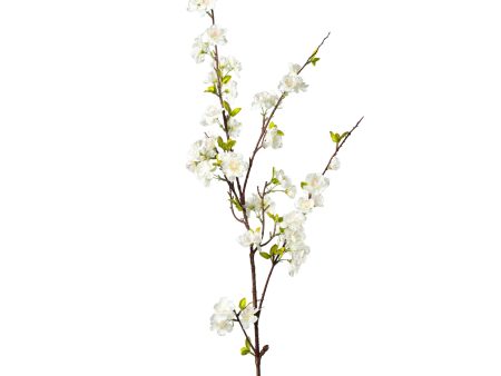 50  Cherry Blossom Branch: Cream on Sale