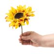 8  Helianthus Sunflower Pick Fashion