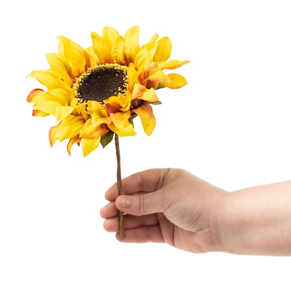 8  Helianthus Sunflower Pick Fashion