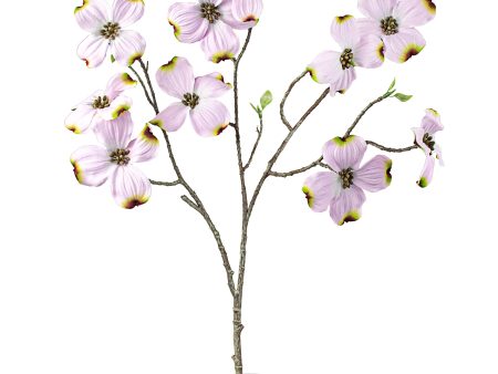 27  Dogwood Stem: Pink For Sale