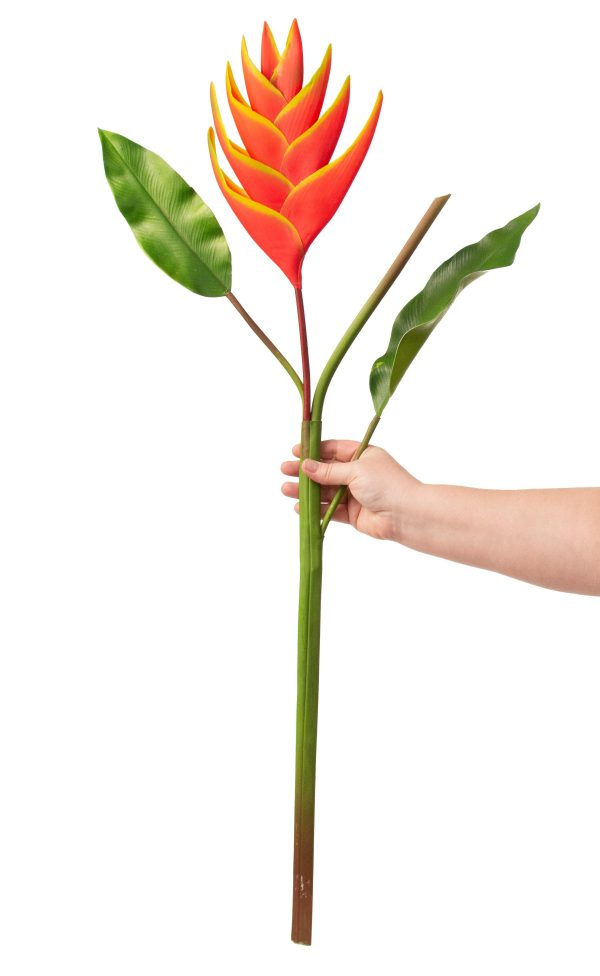 37  Heliconia Lobster Claw Flower: Yellow & Orange Cheap