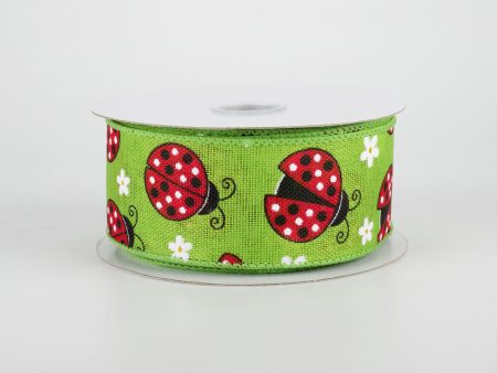 1.5  Ladybugs Daisies Ribbon: Lime (10 Yards) Online