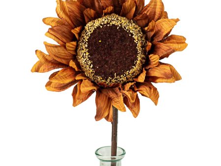 12  Single Wrinkled Sunflower: Brown For Sale