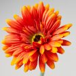 22  Gerbera Daisy Stem: Orange Online now