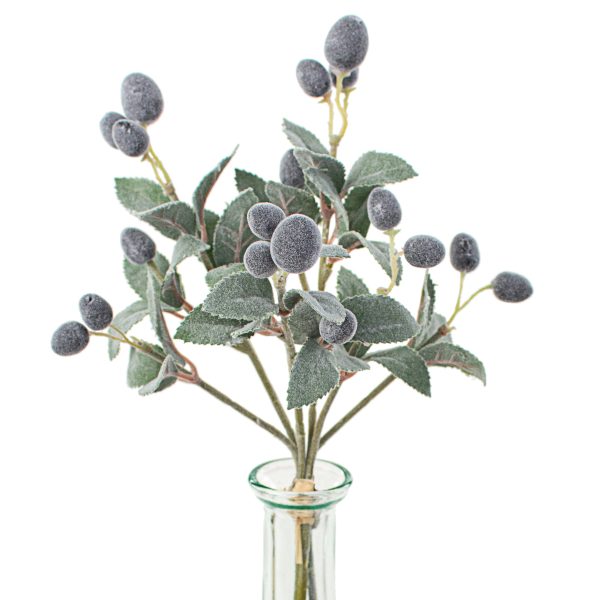 10  Olive Stem Bundle For Sale