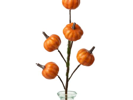 11  Mini Pumpkin Twiggy Pick: Orange Online now