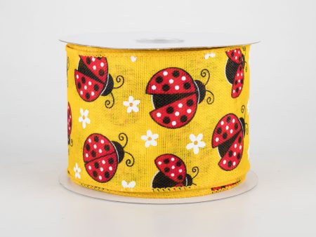 2.5  Ladybugs Daisies Ribbon: Daffodil (10 Yards) For Sale