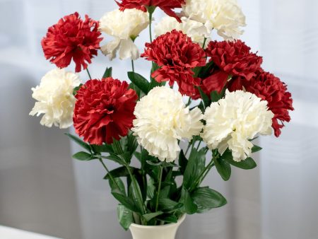 Colorfast Carnation Bush: Red & White (14 Stem) For Discount