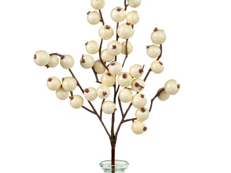 12  Crabapple Pick: Ivory Sale