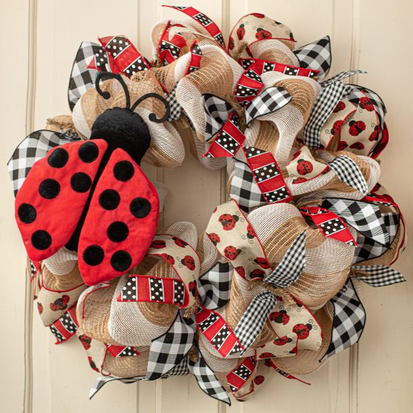 10  Ladybug Decoration Online now