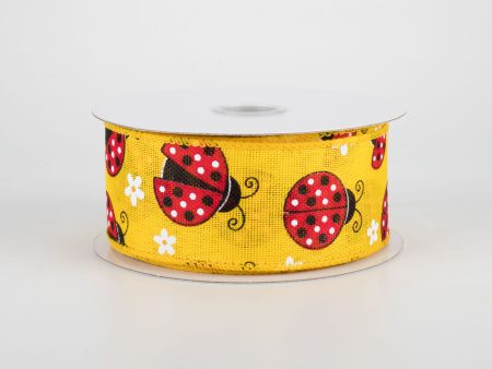 1.5  Ladybugs Daisies Ribbon: Daffodil (10 Yards) on Sale