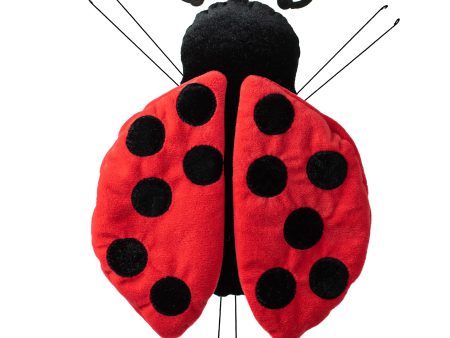 10  Ladybug Decoration Online now