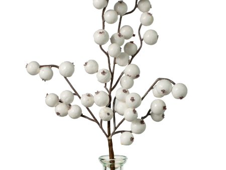 12  Crabapple Pick: Shiny White Online Hot Sale