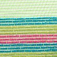 10  Border Stripe Mesh: Lime, Hot Pink, Fresh Green, Turquoise on Sale