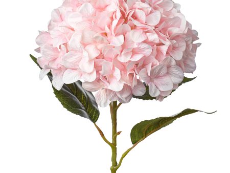 45  Jumbo Hydrangea Spray: Pink Supply