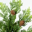 11  Cedar Pinecone Pick Supply