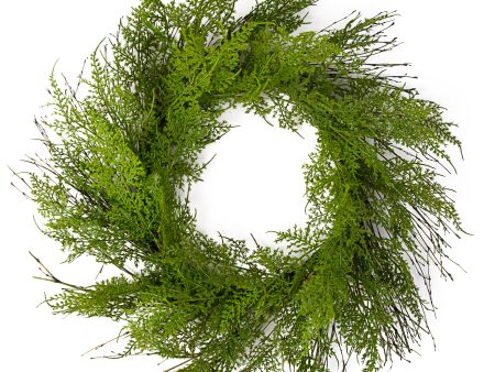 24  Asparagus Fern Wreath Sale