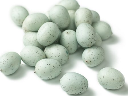 1  Eggs: Light Blue & Black (24) Online Sale