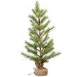 24  Alaska Fir Small Christmas Tree Online