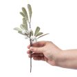 10  Snowy Glittered Mistletoe Pick Supply