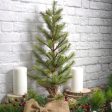 24  Alaska Fir Small Christmas Tree Online