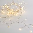 100 LED Battery Lights On Wire: Warm White on Sale