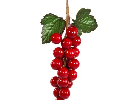 7  Berry Grape Cluster: Shiny Red Fashion