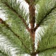 24  Alaska Fir Small Christmas Tree Online