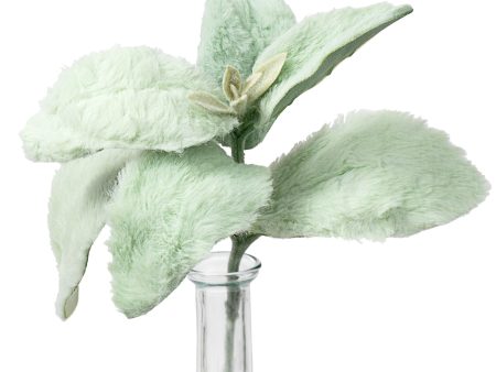 9  Whimsical Fuzzy Lamb s Ear Stem Discount