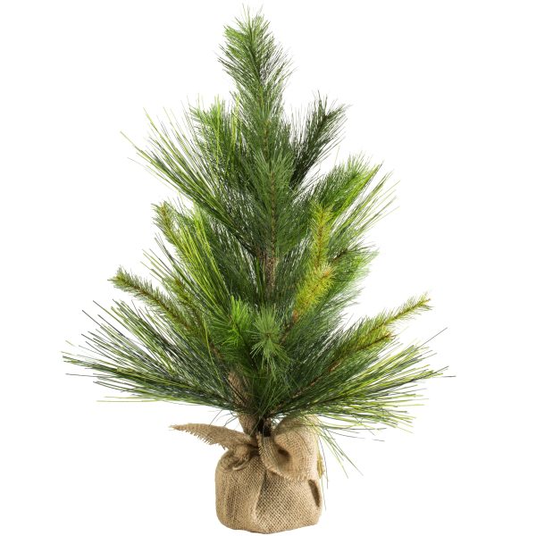 24  Evergreen Small Christmas Tree Supply