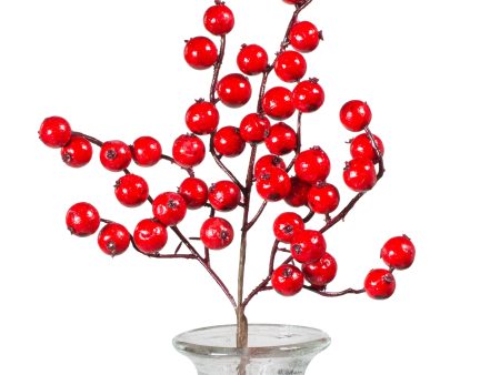 12  Crabapple Berry Pick: Shiny Red Hot on Sale