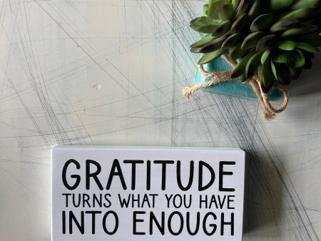 Gratitude turns what you have into enough For Cheap